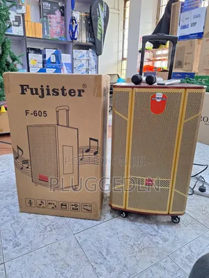 Fujister-F605 15" Battery-Powered Portable Speaker System.