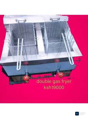Double Gas Fryer