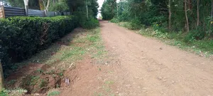 Prime Plots for Sale