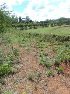 2 Acres at Machakos Katumani