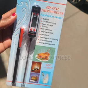 Digital Food Thermometer