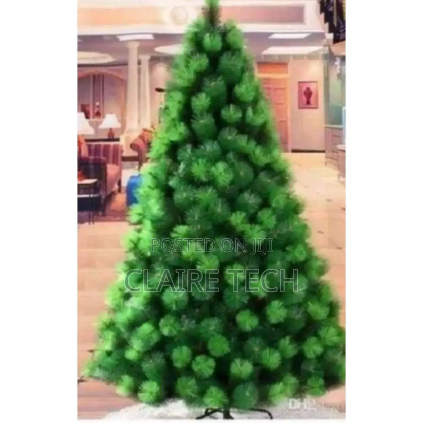 *Christmas Trees 
 *Christmas