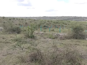 Jujafarm 3 Acres 1/4 for Sale.