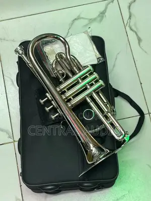 Cornet Musical Instrument