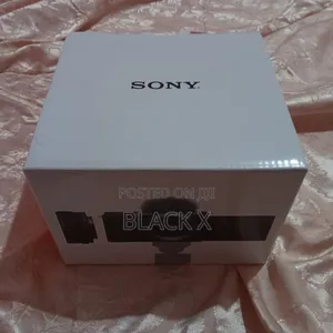 Sony Zv-E 10 55mm [Body Only] With Mic
