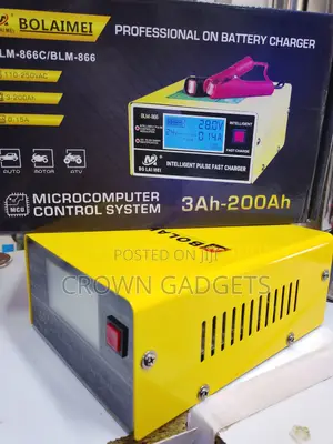 Bolaimei BLM-866c 12v/24v Smart Pulse Battery Charger