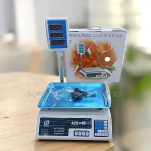 Stable Performance Acs 40 Upto 40kgs Digital Electronic Weighing Scale