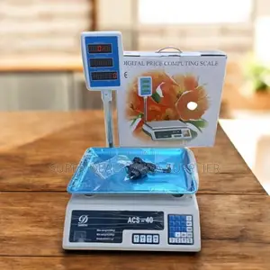 Plug and Play Acs 40 Upto 40kgs Computing Digital Weighing Scale