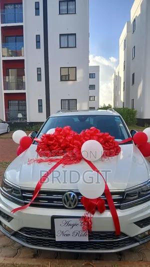 Car Gift Bow and Large Gifts Bow