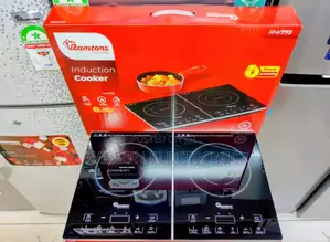 Double Plate Induction Cooker
