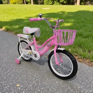 Compact Design 16 Inch 4-7 Years Children Kids Bike With Support