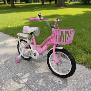 Quality Ensured 16 Inch 4-7 Years Children Kids Bike With Bottle
