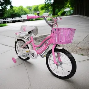 Premium Quality Cartoon 16 Inch 4-7 Years Children Kids Bicycle
