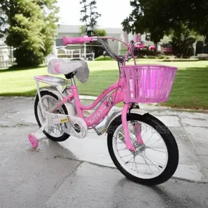16 Inch Kids Bike for Ages 4-7 With Stabilizer Bottle and Bracket