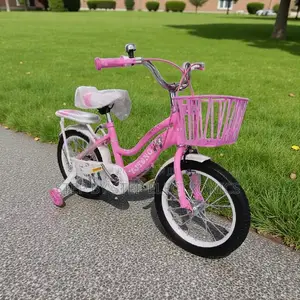High Durability 16 Inch 4-7 Years Children Kids Bike With Water Bottle