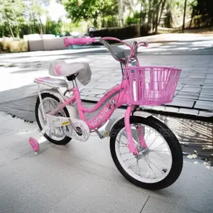 Kids Bicycle 16 Inch for Age 4-7 With Training Wheels and Bottle Mount