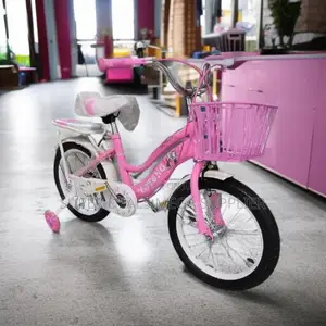 Children 16 Inch Bike for 4-7 Years With Training Wheels and Bracket