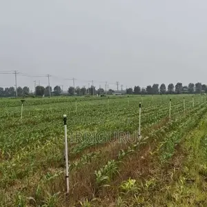 Intelligent Agricultural Irrigation System, Vertical Sprinkler