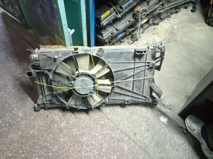Premacy Radiator 2007/2008