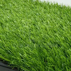 Outdoor Indoor Lush Greenery, Minimal Upkeep