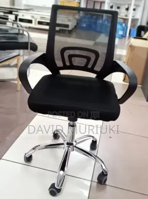 Modern Assembled Executive Office Chair