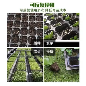 Multi-Color Seedling Trays - Ignite Your Planting Inspiration !