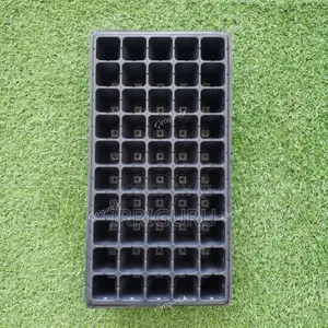 The Art of Cultivation Against a Natural Backdrop - Colorful Trays Bri