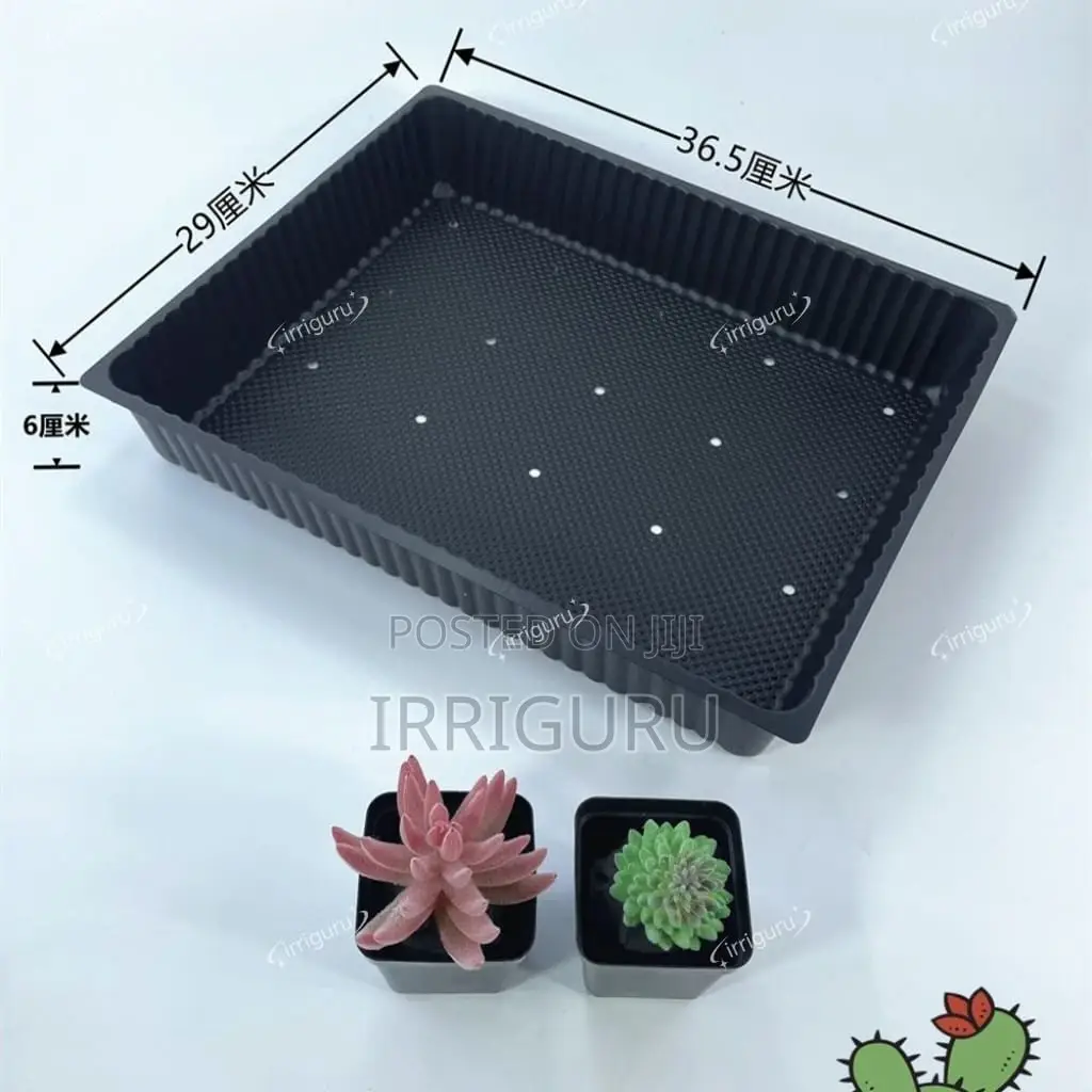 | Scientific Cell Design Promotes Root Health