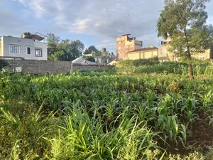 Prime Commercial Plots for Sale Boma Road Kiambu Town.
