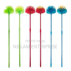 Extendable Cobweb Broom