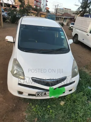 Toyota Ractis 2009 White