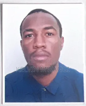 Kelvin Mwangi Cv