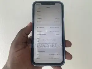 Apple iPhone 11 Pro Max 256 GB Blue