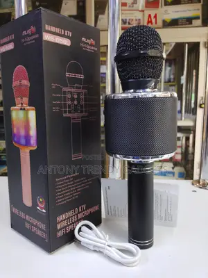 Ws-858l Wireless Bluetooth Karaoke Microphone Speaker