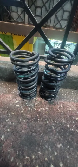 Heavy Duty Coil Springsl