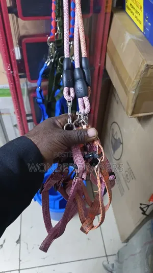 German Shepherd Leash + Harness