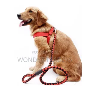 Dog Leash / Harness With Collar
( Adjustable)