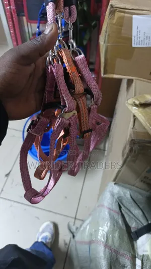 Chiwawa Dog Leash / Harness With Collar