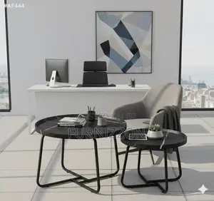 Premium Metal Frame Tea Tables (Black, Set of 2)