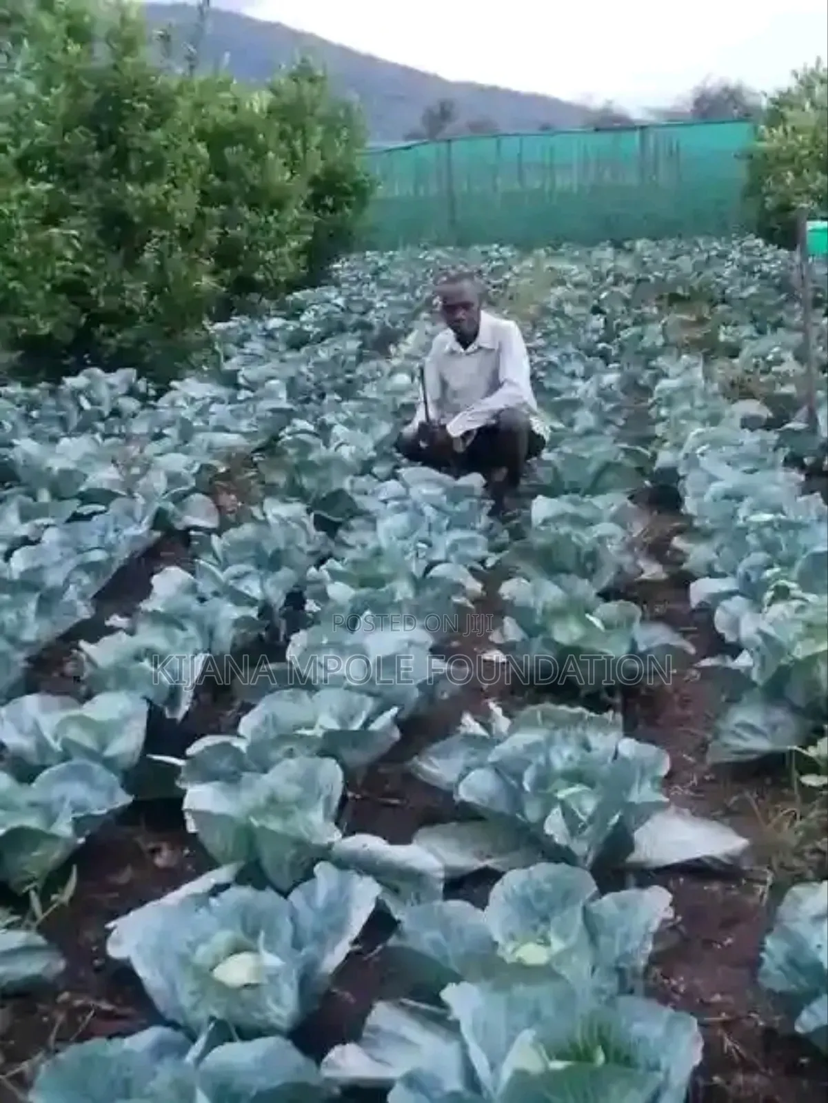 Young Kisii Farmer Mr Josephat