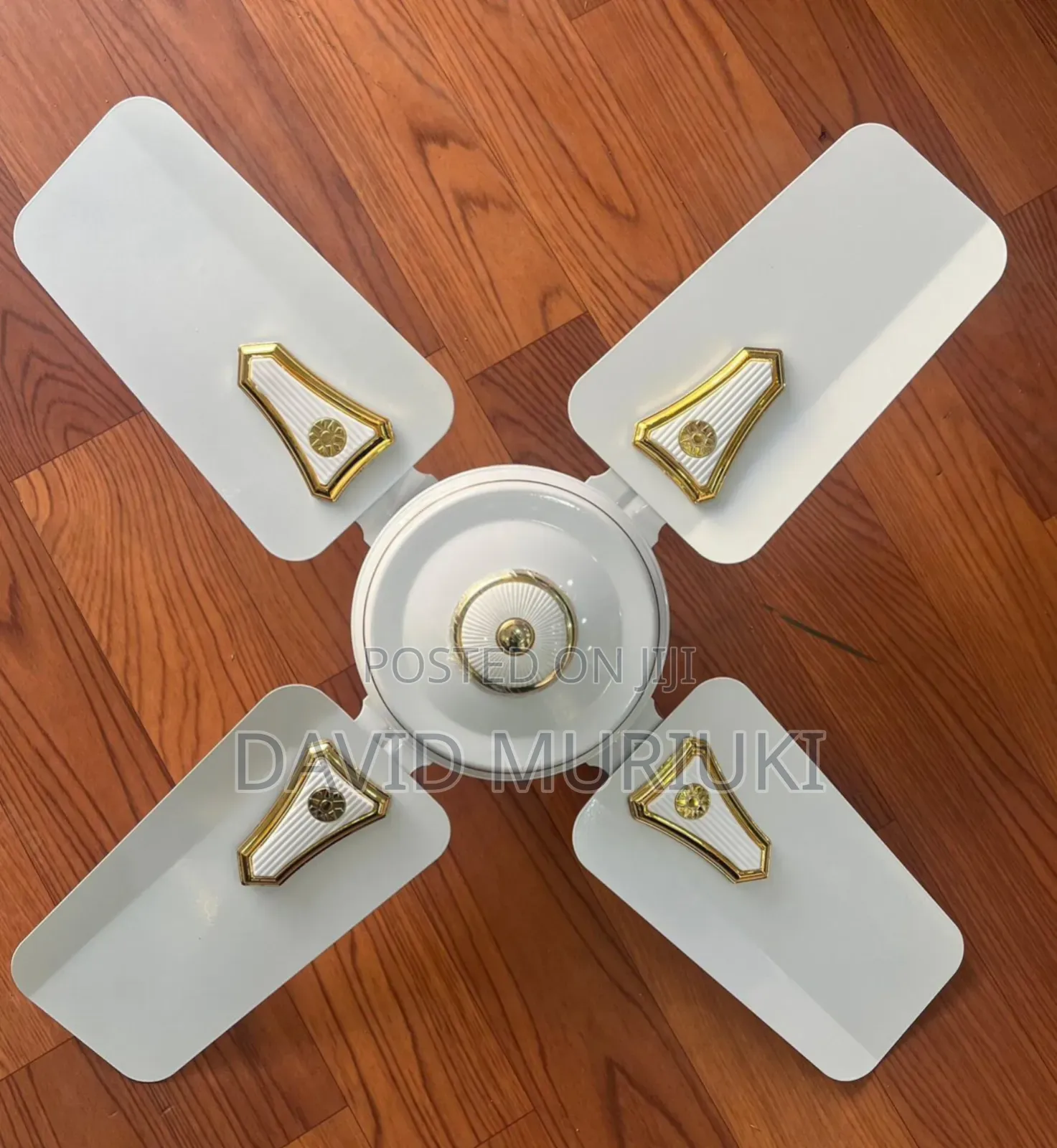 Roch 24 Inches Ceiling Fans