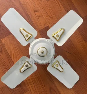Roch 24 Inches Ceiling Fans