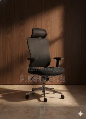 Professional Black High-Back Ergonomic Mesh Chair With Headrest