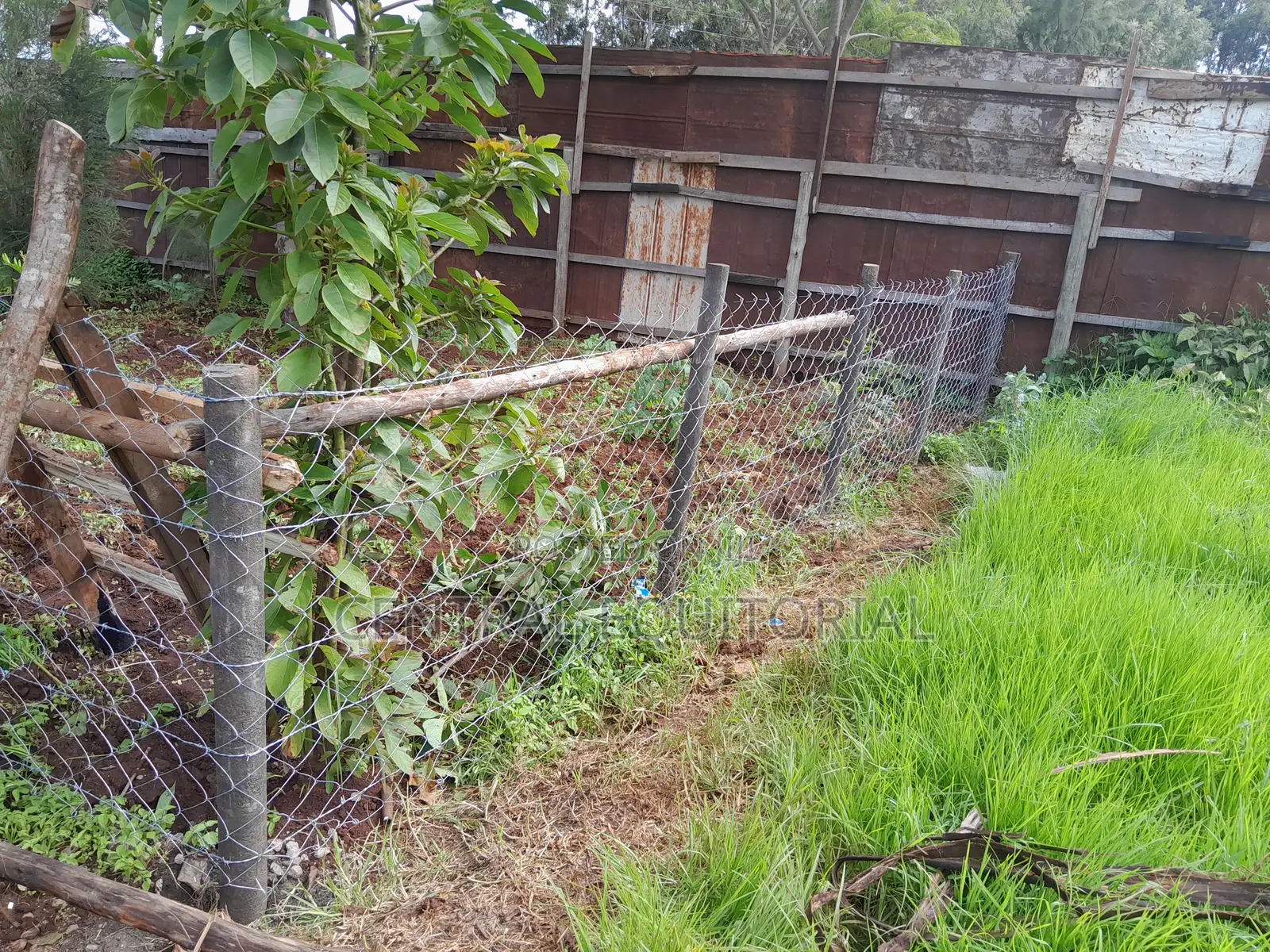 Eco- Posts