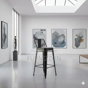 Multi-Purpose Tolix Low-Back Bar Stool
