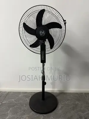 Black 16 Inches Electromate Electromate Standing Fans