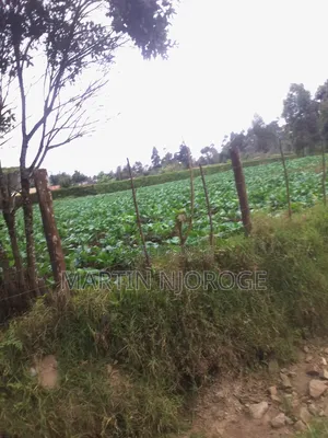 70 by 100 Plot Gitithia