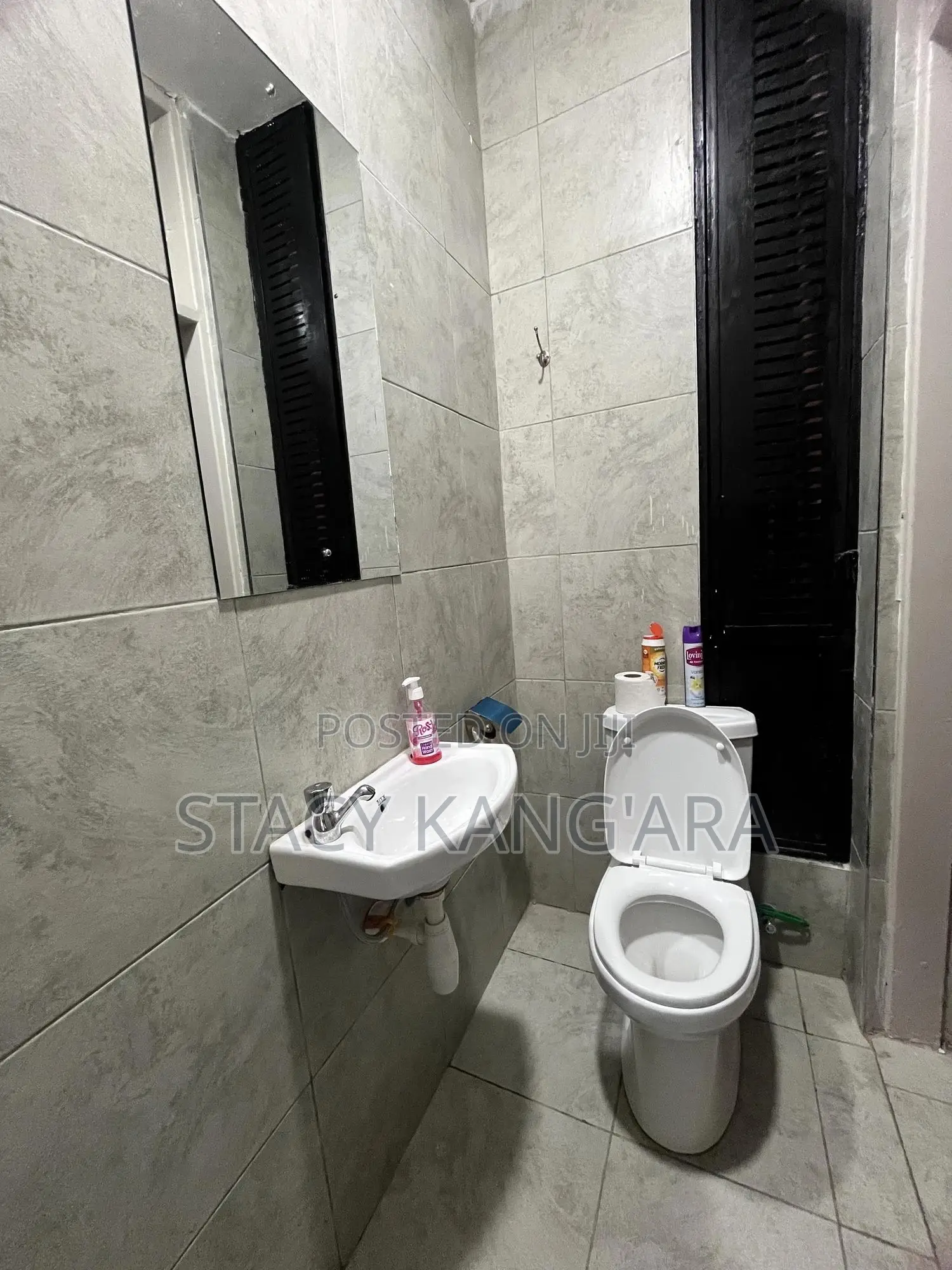 Studio Apartment Roysambu