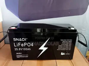 Snadi 24v 100ah (2.56kwh) Lithium Battery