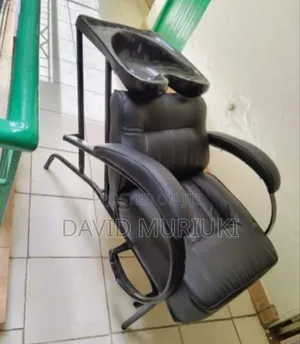 Executive Barber Chair With Sink